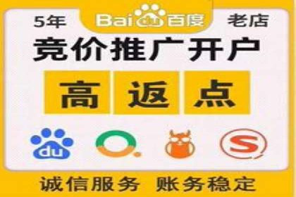 提升网站流量与转化率的关键——关键词竞价排名案例